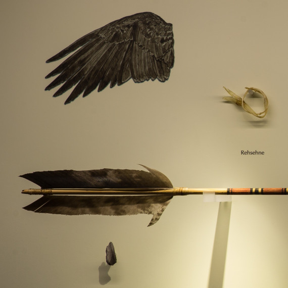 An Arrow from the Mesolithic